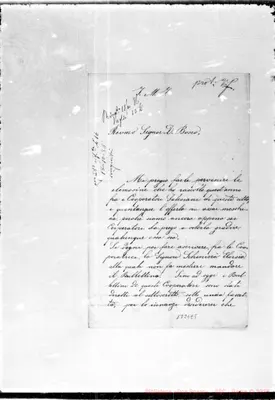 Fotogramma E 5