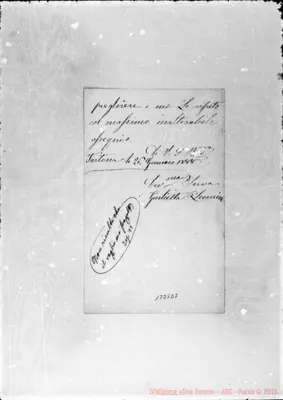 Fotogramma D 7