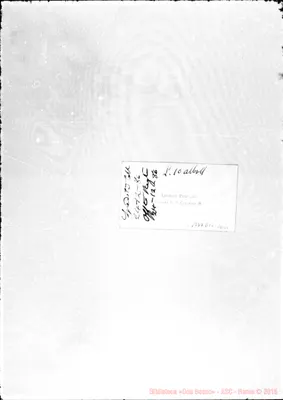 Fotogramma D 12