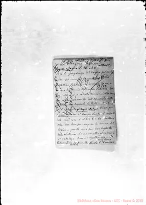 Fotogramma D 6