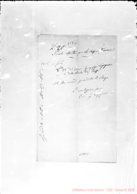 Fotogramma E 5