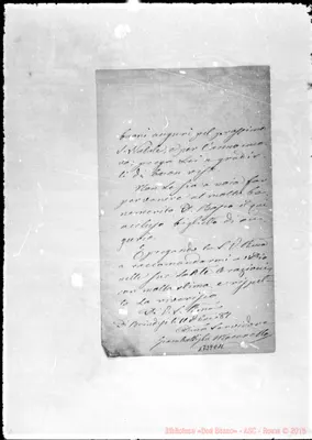 Fotogramma C 11