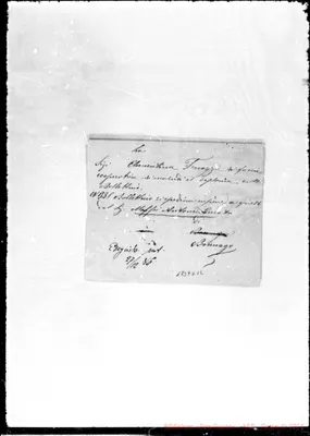 Fotogramma D 12