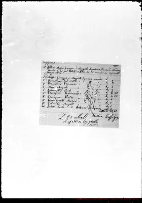 Fotogramma E 6