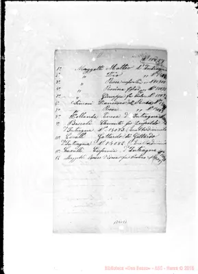 Fotogramma C 1