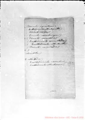 Fotogramma C 2