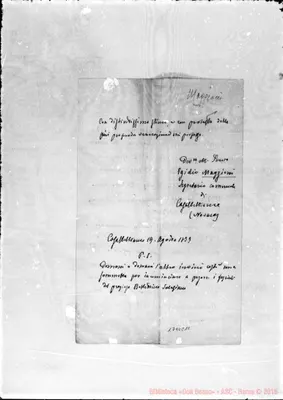 Fotogramma C 11