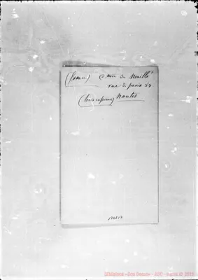 Fotogramma C 7