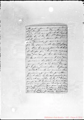Fotogramma C 11