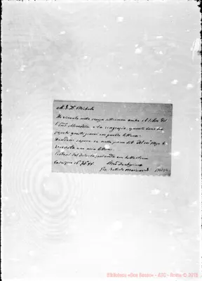 Fotogramma D 4