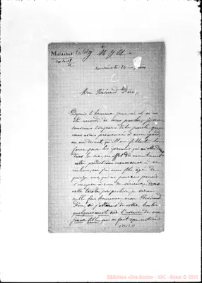 Fotogramma E 11