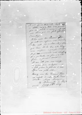 Fotogramma E 8