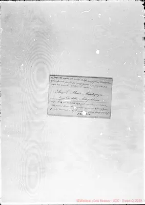 Fotogramma E 10