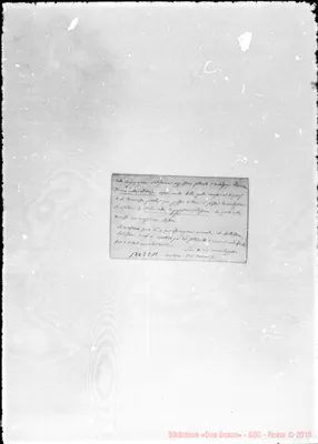 Fotogramma E 11