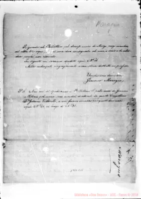 Fotogramma C 11