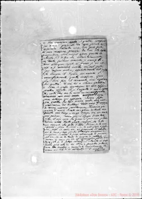 Fotogramma C 11