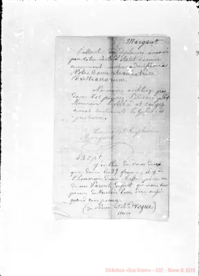 Fotogramma C 1