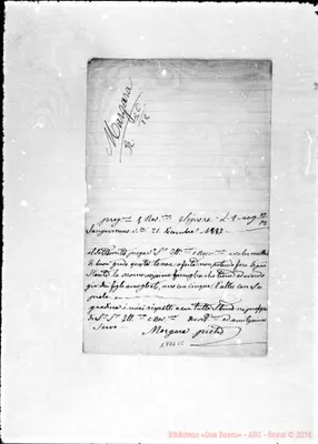 Fotogramma C 2