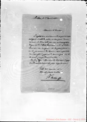 Fotogramma C 8