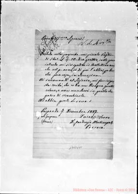 Fotogramma C 11