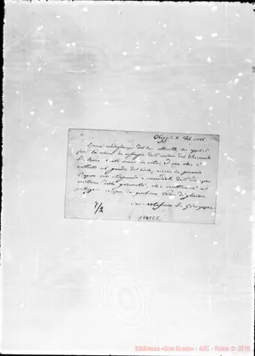 Fotogramma E 8