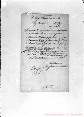 Fotogramma C 11