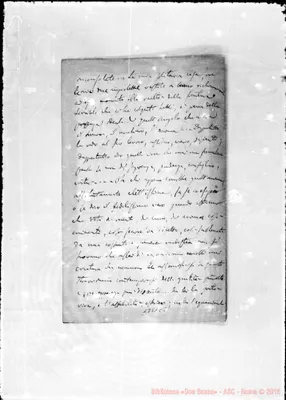 Fotogramma C 5