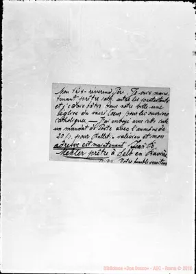 Fotogramma D 11
