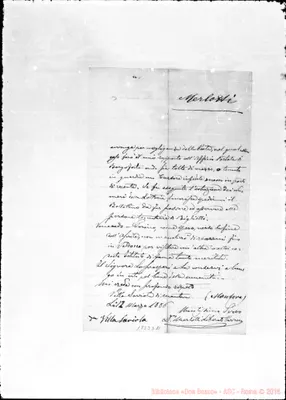 Fotogramma D 11