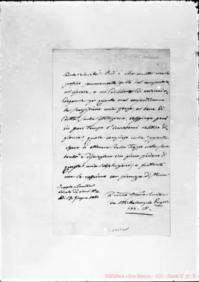 Fotogramma D 11