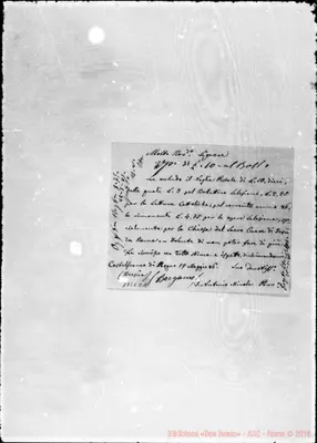Fotogramma C 11