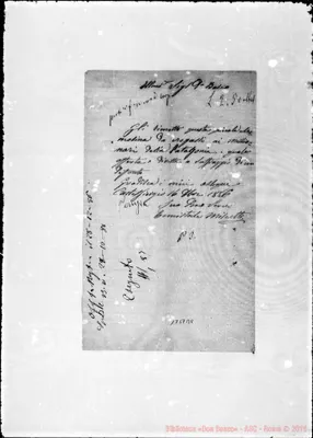 Fotogramma B 8