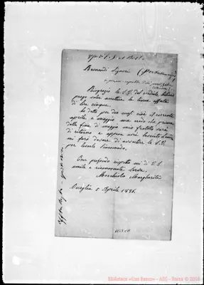 Fotogramma C 11