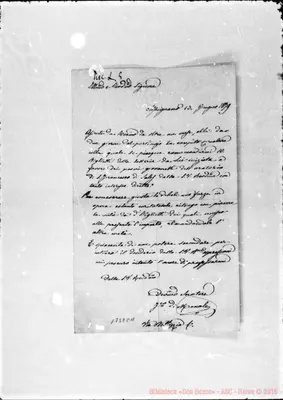Fotogramma C 11