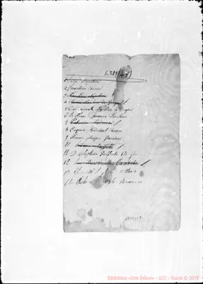 Fotogramma C 12