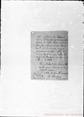 Fotogramma C 1