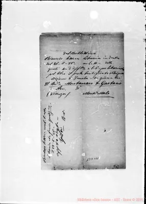 Fotogramma C 11