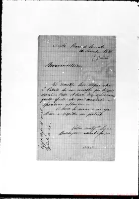 Fotogramma D 11