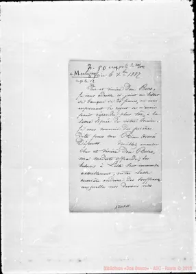 Fotogramma A 11
