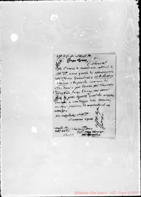 Fotogramma C 11