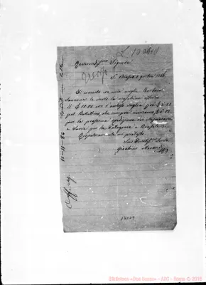 Fotogramma D 9