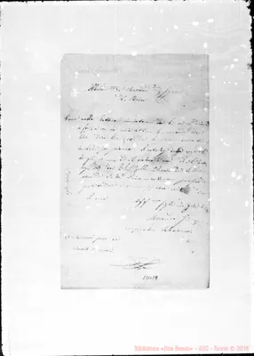 Fotogramma E 8