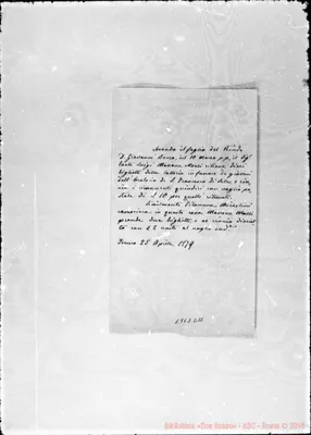 Fotogramma D 11
