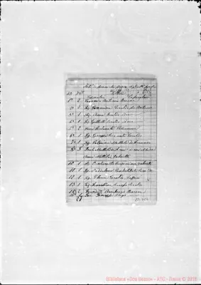 Fotogramma C 2