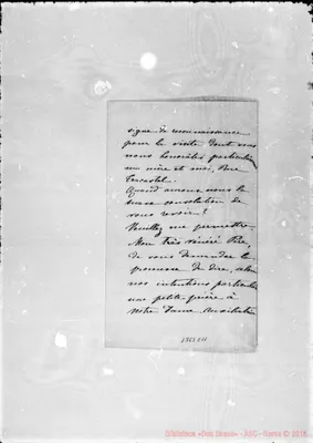 Fotogramma C 11