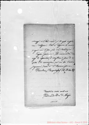 Fotogramma C 11