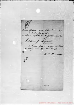 Fotogramma C 11