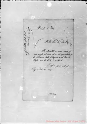 Fotogramma C 11