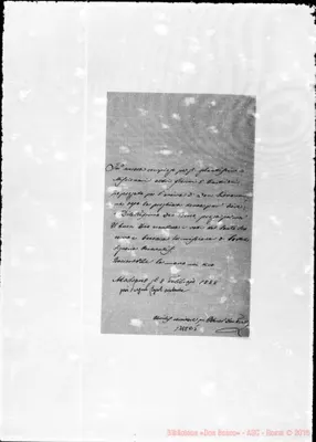 Fotogramma B 5