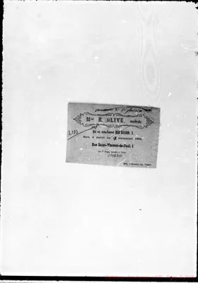 Fotogramma D 11